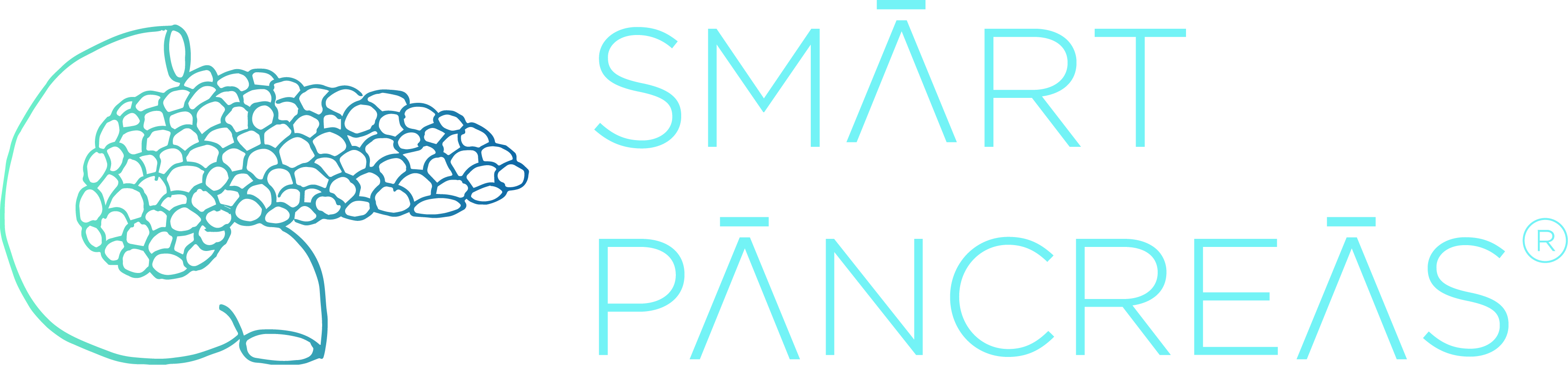 Smart Pancreas®
